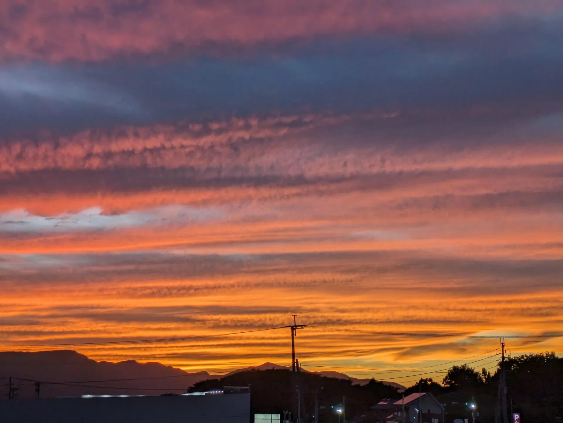 [高森]彼岸花とコスモスとタロウそして夕焼けステキな高森の風景です❣️🥳