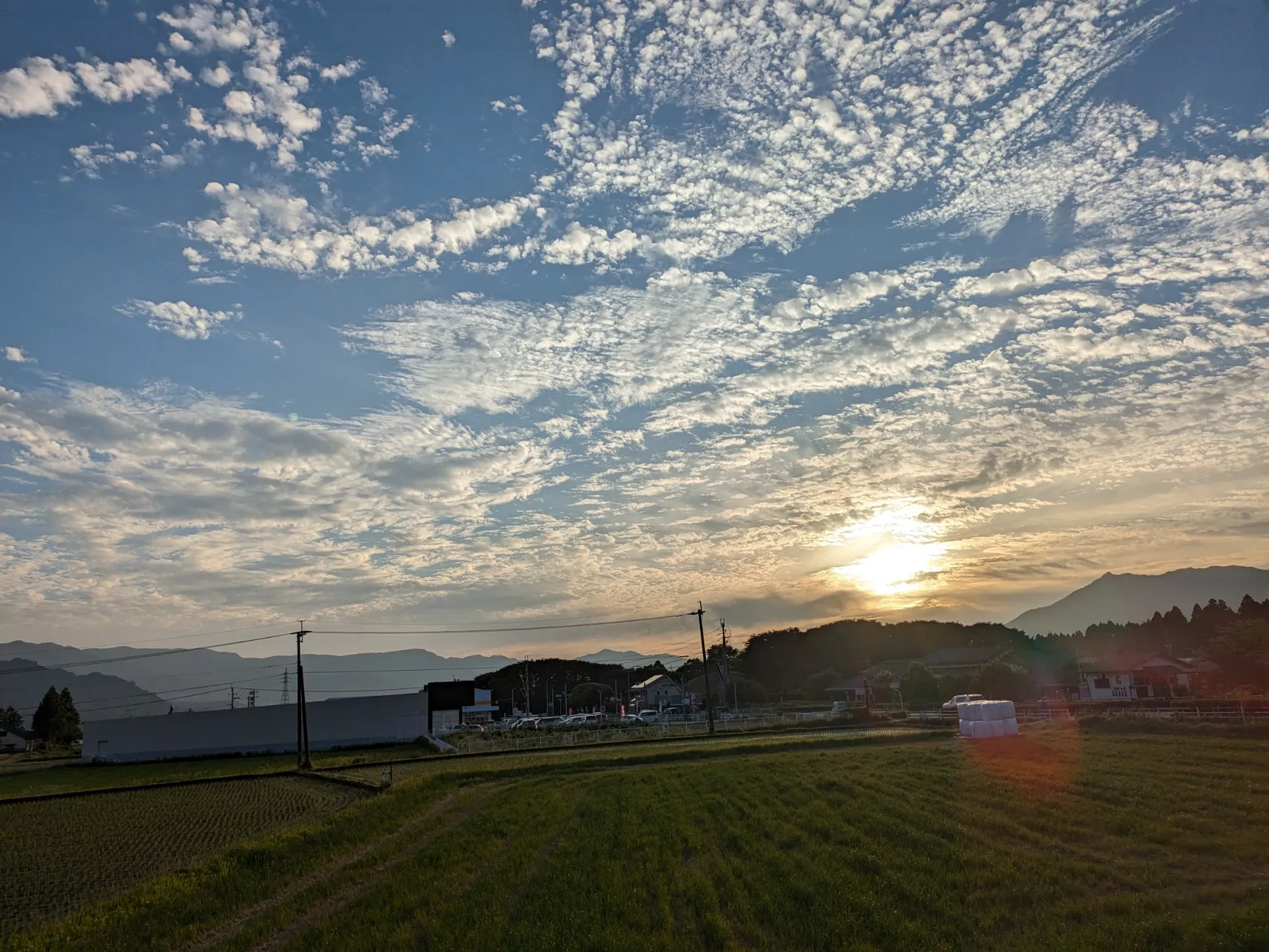 [高森]昨日の夕暮れの雲と太陽とても神秘的でした✨今日はモンシロチョウが虫取りナデシコの花の蜜を吸っていました💓